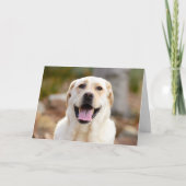 犬パーソナライズされたの写真 カード (正面)