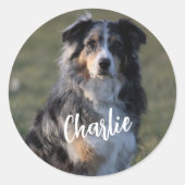犬パーソナライズされたの写真 ラウンドシール (正面)