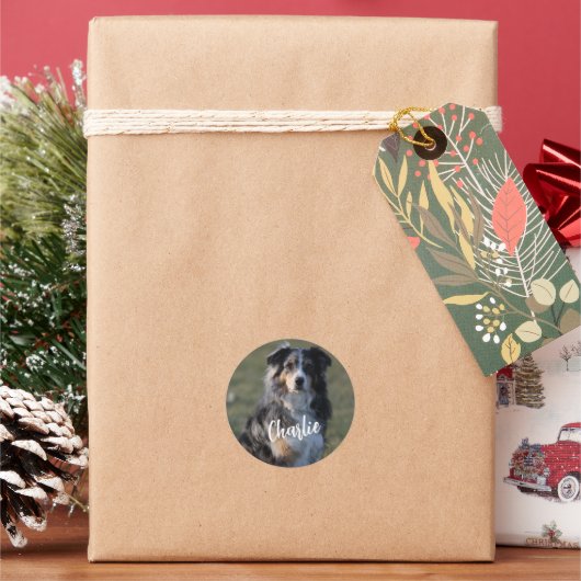 犬パーソナライズされたの写真 ラウンドシール (クリスマス)