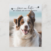犬パーソナライズされたの結婚ペット写真の保存日 案内ポストカード (正面)