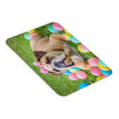 犬パーソナライズされたペット用写真磁石 マグネット (右側)