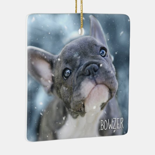 犬パーソナライズされた最高のや子犬の写真名の写真 セラミックオーナメント (右)