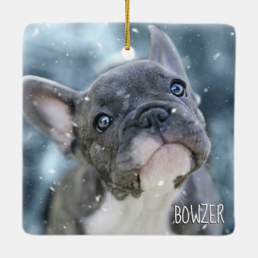 犬パーソナライズされた最高のや子犬の写真名の写真 セラミックオーナメント (裏面)