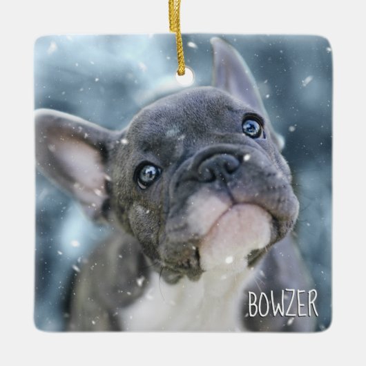 犬パーソナライズされた最高のや子犬の写真名の写真 セラミックオーナメント (正面)
