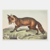 犬ビクトリアンのプリント ラッピングペーパーシート (正面2)