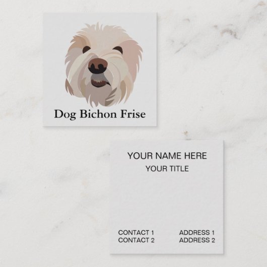 犬ビコンフリーズかわいい犬 スクエア名刺 (正面/裏面)