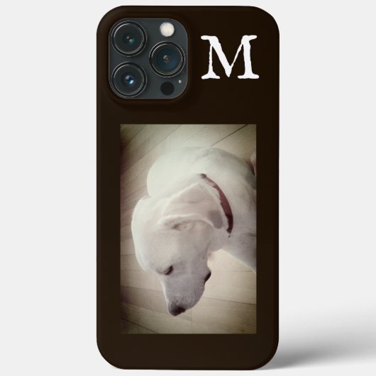 犬プロフィール誇りを持ったダークチョコレートブラウン写真 Case-Mate iPhoneケース (裏面)