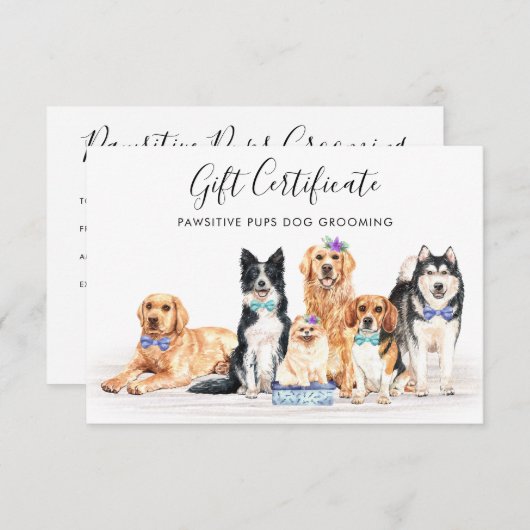 犬ペットケア犬トレーナートリマーギフト証明書 (正面/裏面)