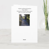 犬ペット写真悔やみや弔慰レインボーブリッジ詩カード カード (裏面)