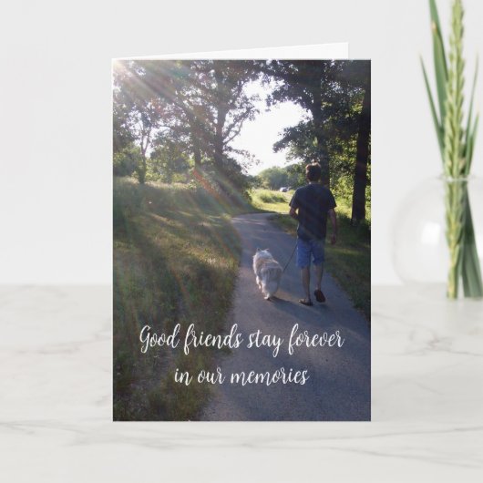 犬ペット写真悔やみや弔慰レインボーブリッジ詩カード カード (正面)