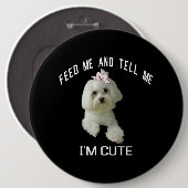 犬マルチーズかわいいマルチーズ犬おもしろい引用文子犬マル 缶バッジ (正面&裏面)