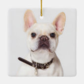 犬メモリアル ペットロス 思い出の写真コラージュ セラミックオーナメント (裏面)