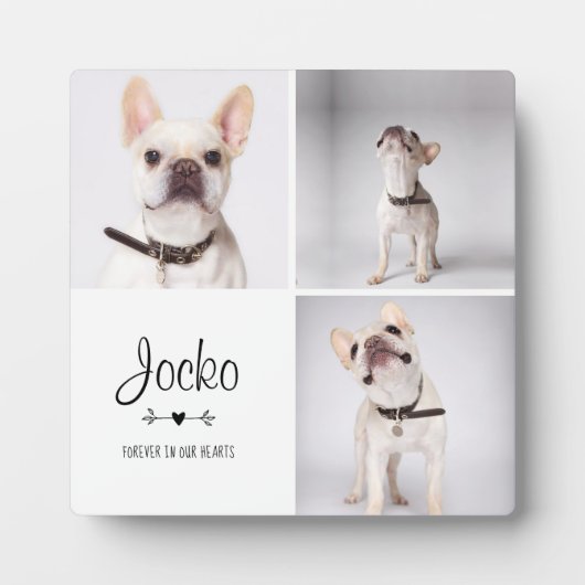 犬メモリアル ペットロス 思い出の写真コラージュ フォトプラーク (正面)