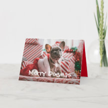 犬メリーのドグマスクリスマスカード