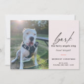 犬モダンが写真を歌って毛むくじゃらのアングルを吠える シーズンカード (正面)