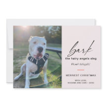 犬モダンが写真を歌って毛むくじゃらのアングルを吠える