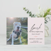 犬モダンが写真を歌って毛むくじゃらのアングルを吠える シーズンカード (スタンド正面)