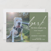 犬モダンが写真を歌って毛むくじゃらのアングルを吠える シーズンカード (正面)