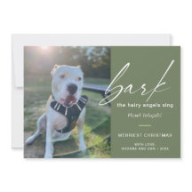 犬モダンが写真を歌って毛むくじゃらのアングルを吠える