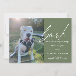 犬モダンが写真を歌って毛むくじゃらのアングルを吠える シーズンカード