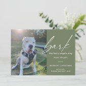 犬モダンが写真を歌って毛むくじゃらのアングルを吠える シーズンカード (スタンド正面)