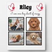 犬モダンのコラージュ4枚 フォトプラーク (正面)