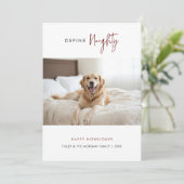 犬モダンの写真を定義するペットいけなのクリスマス シーズンカード (スタンド正面)