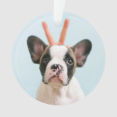 犬モダンの写真 |メリークリスマス オーナメント (正面)