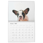 犬モダンの写真 |犬の引用文 カレンダー (1月 2027)
