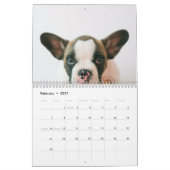 犬モダンの写真 |犬の引用文 カレンダー (2月 2027)