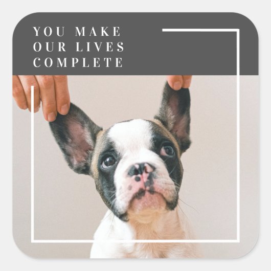 犬モダンの写真 |犬の引用文 スクエアシール (正面)