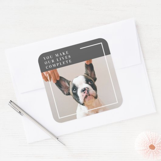 犬モダンの写真 |犬の引用文 スクエアシール (封筒)