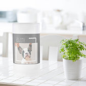 犬モダンの写真 |犬の引用文 フロストグラスビールジョッキ