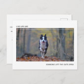 犬モダンやる気を起こさせる卒業祝い ポストカード (正面/裏面)