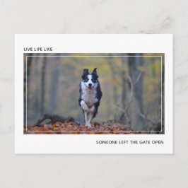 犬モダンやる気を起こさせる卒業祝い ポストカード