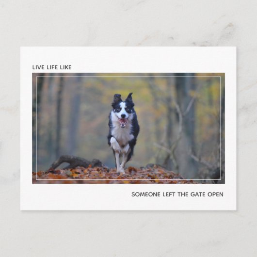 犬モダンやる気を起こさせる卒業祝い ポストカード (正面)