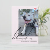 犬モダンを歌って毛深いアングルを吠える シーズンカード (スタンド正面)