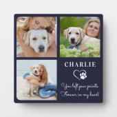犬モダン記念カスタムペット写真コラージュ フォトプラーク (正面)