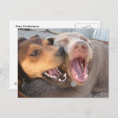 犬ユーモアのあるはがき ポストカード (正面/裏面)
