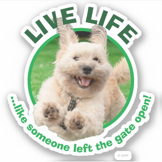 犬ランニングの庭 シール (正面)