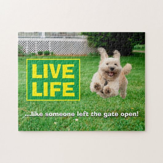 犬ランニングの庭 ジグソーパズル (横)