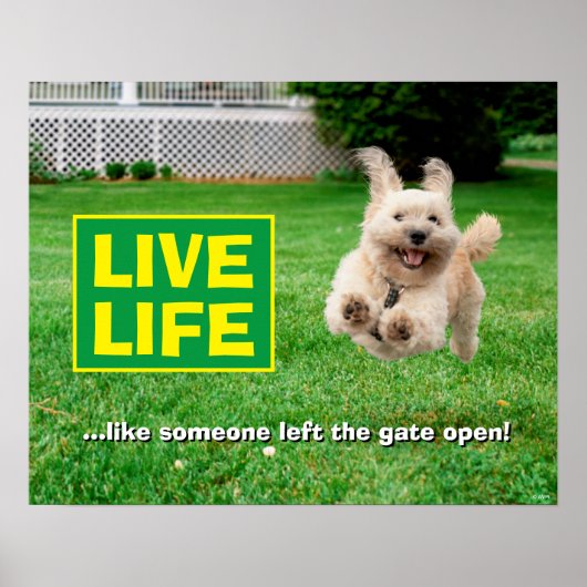 犬ランニングの庭 ポスター (正面)