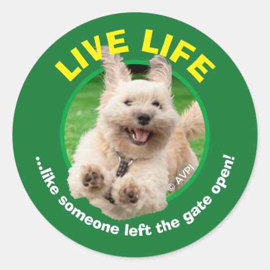 犬ランニングの庭 ラウンドシール (正面)