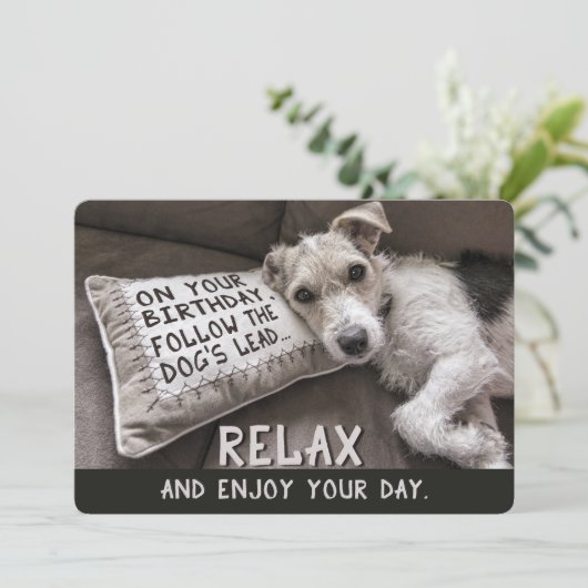 犬リラックスのハッピーバースデーカードのように カード (スタンド正面)