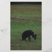 犬与えが追いかける 便箋 (正面)