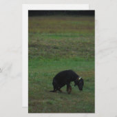 犬与えが追いかける 便箋 (正面/裏面)