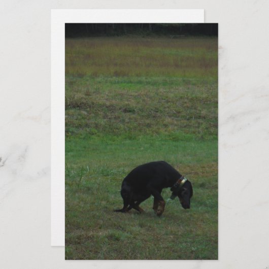 犬与えが追いかける 便箋 (正面/裏面)