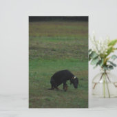 犬与えが追いかける 便箋 (スタンド正面)