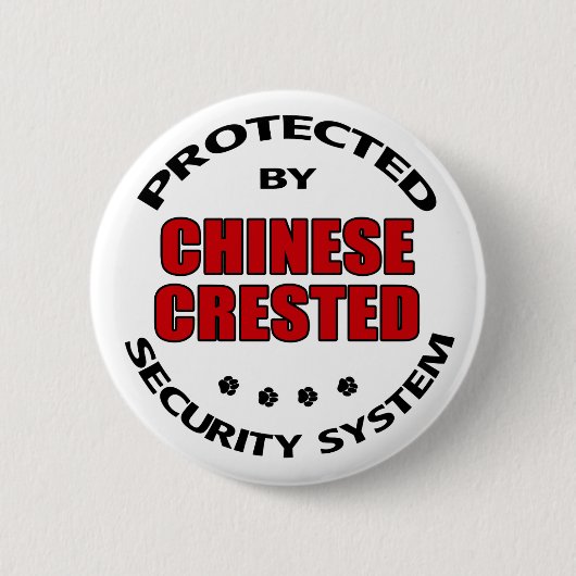 犬中国の紋証券 缶バッジ (正面)