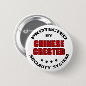 犬中国の紋証券 缶バッジ (正面&裏面)